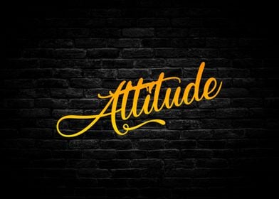 Attitude