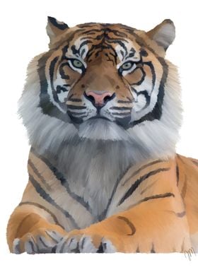 Tiger by Jessica Miranda