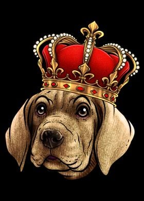 Great Dane Dog Crown