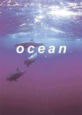 Ocean text dolphin poster