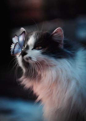 Butterfly on a cat