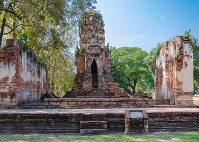 Buddha statues and temples