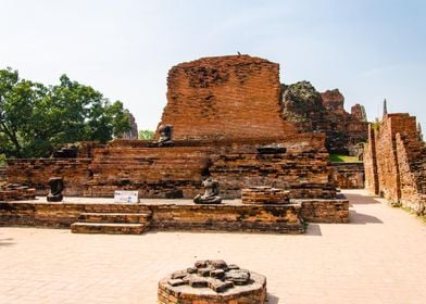 Buddha statues and temples