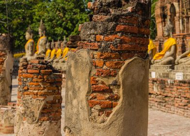 Buddha statues and temples