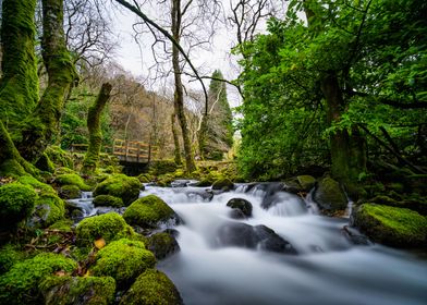 Wales: River & Trees (2)