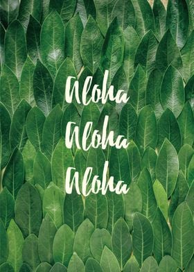 Aloha modern text poster