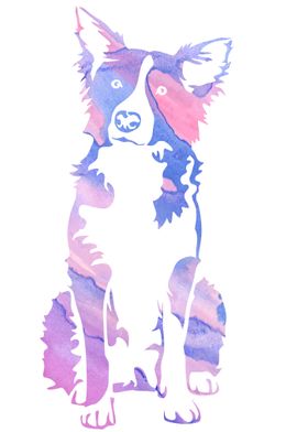 Dog purple