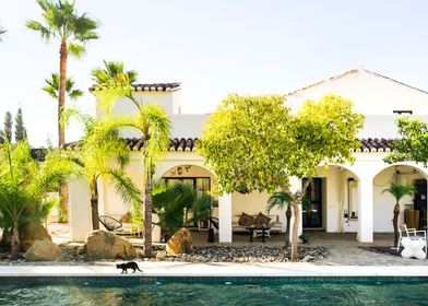 Swimming pool at villa