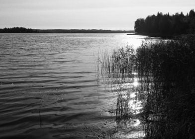 Morning By The Lake