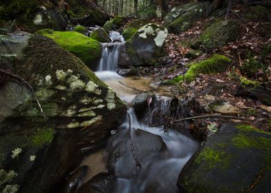 Lonely Cascade