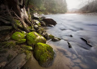 Cold River in Spring