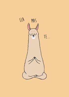 Namaste Llama