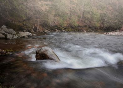 Cold River Rapids