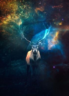 Deer by the universe