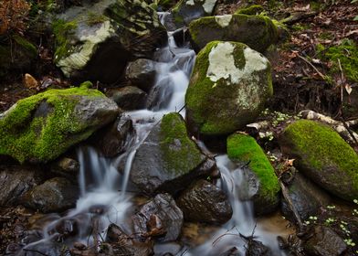 Springtime Cascade