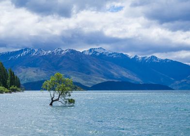 Lake Wanaka New Zealand