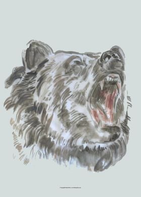 Roaring Bear