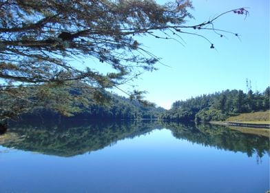 Campos do Jordao