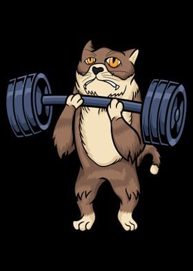 Cat with Fitness Gym