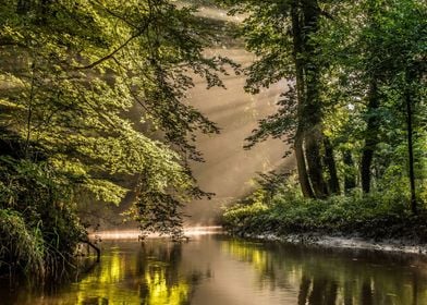 Nature Lake View