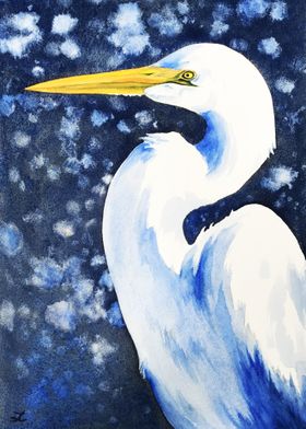 Winter Egret