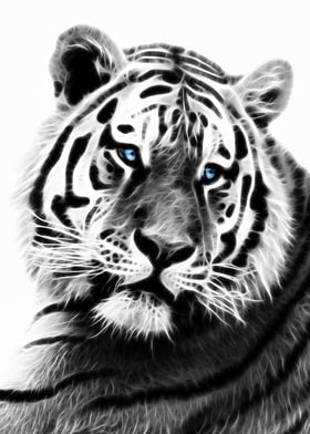 Tiger profile fractal