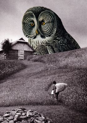 Nocturnal [collage]