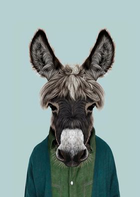 donkey portrait 