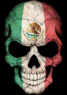 Mexican Flag Skull