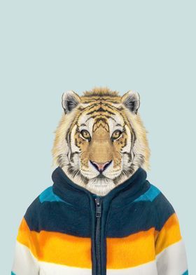 baby tiger portrait 