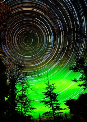 Startrail Forest