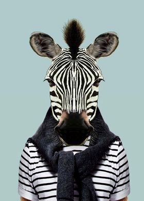 donkey zebra portrait