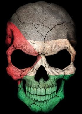 Palestinian Flag Skull