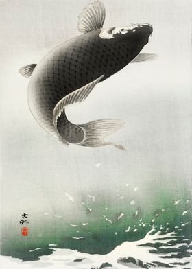 Ohara Konso Fish