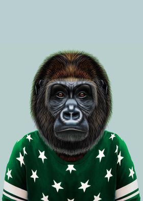gorilla portrait 