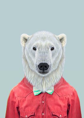 polar bear portrait 