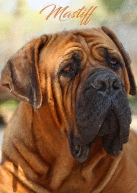 Mastiff