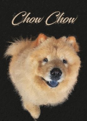 Chow chow dog