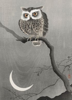 Ohara Konso Owl