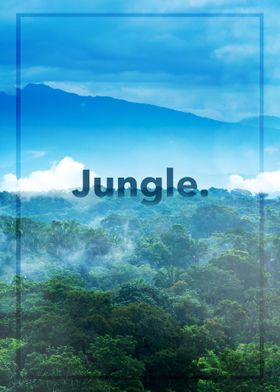 Jungle 