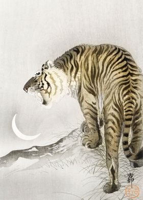 Ohara Konso Tiger