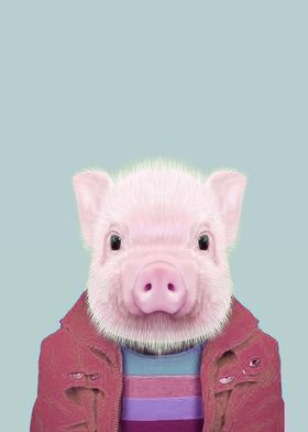 baby pig portrait