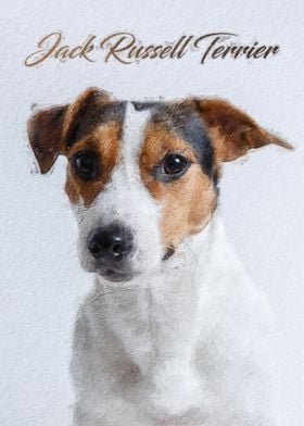 Jack Russell Terrier