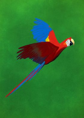 Macaw parrot Guacamaya