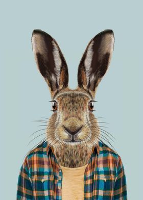 cute rabbit portrait