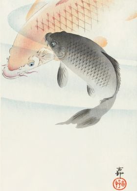 Ohara Konso Fish 2