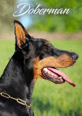 Doberman