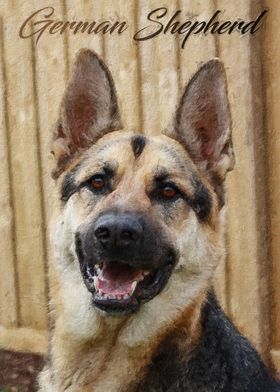 German Shepherd dog