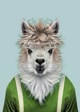 llama portrait 