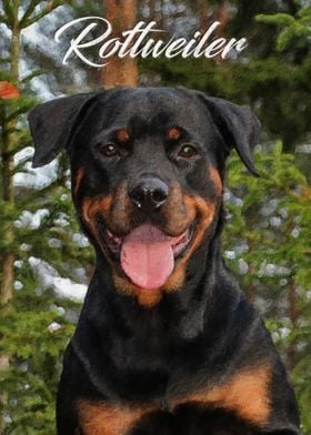 Rottweiler